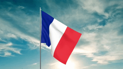 Franczska vlajka